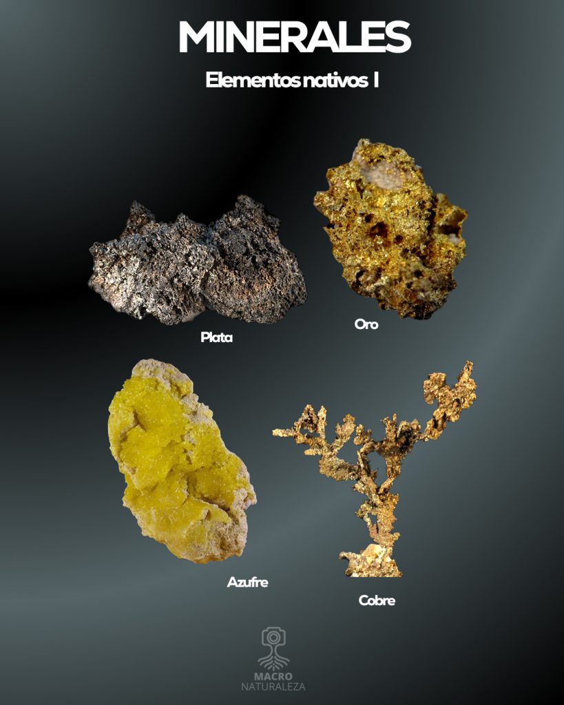 ELEMENTOS-NATIVOS-1B_1080x1350-819x1024.jpg